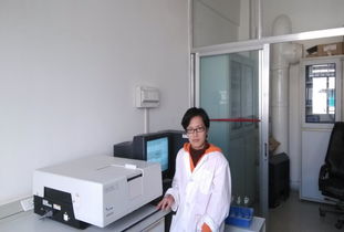 人員隊伍建設在公共技術服務中心的技術咨詢中的作用與策略